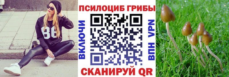 Псилоцибиновые грибы Magic Shrooms  сколько стоит  Жуковский 