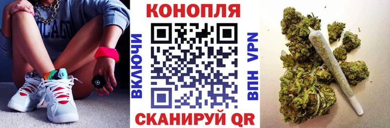 площадка Telegram Жуковский Бошки Шишки план